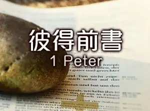 12月2日读经（彼前3-5章，彼后1章）